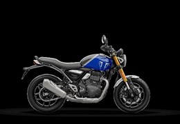 Neumotorrad Triumph Speed 400