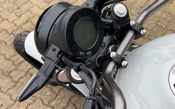 Neufahrzeug Kawasaki Eliminator 500 - Bild 8