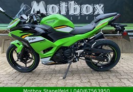 Neumotorrad Kawasaki Ninja 500 SE