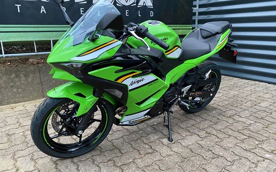Neufahrzeug Kawasaki Ninja 500 SE - Bild 3