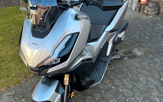 Gebrauchtmotorrad Honda ADV350 - Bild 4