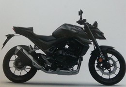 Neumotorrad Honda CB750 Hornet