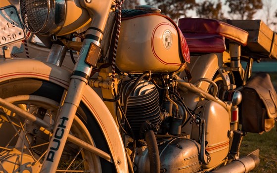 Gebrauchtmotorrad Puch 250 TF - Bild 5 Gebrauchtmotorrad Puch 250 TF - Bild 5