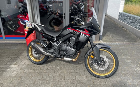 Neufahrzeug Honda XL750 Transalp - Bild 1