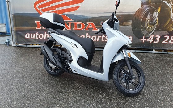 Neufahrzeug Honda SH350i - Bild 1
