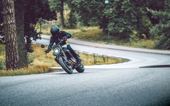 Neufahrzeug Husqvarna Vitpilen 801 - Bild 10