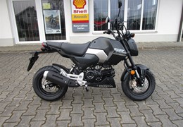 Neumotorrad Honda MSX 125