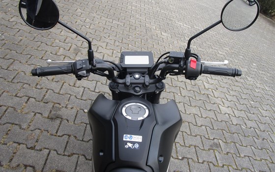 Neufahrzeug Honda MSX 125 - Bild 3
