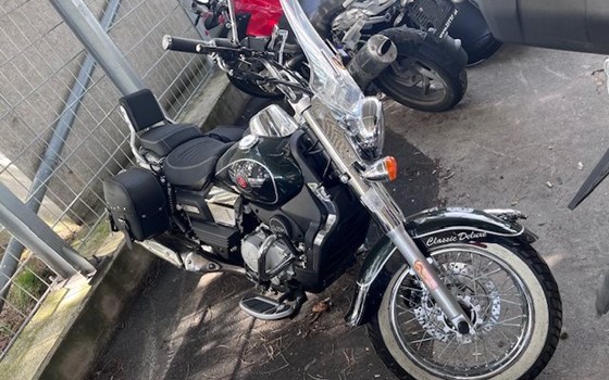 Gebrauchtmotorrad United Motors UM Renegade Commando 300 - Bild 1