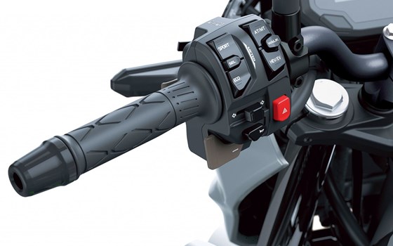 Neufahrzeug Kawasaki Z7 Hybrid - Bild 7