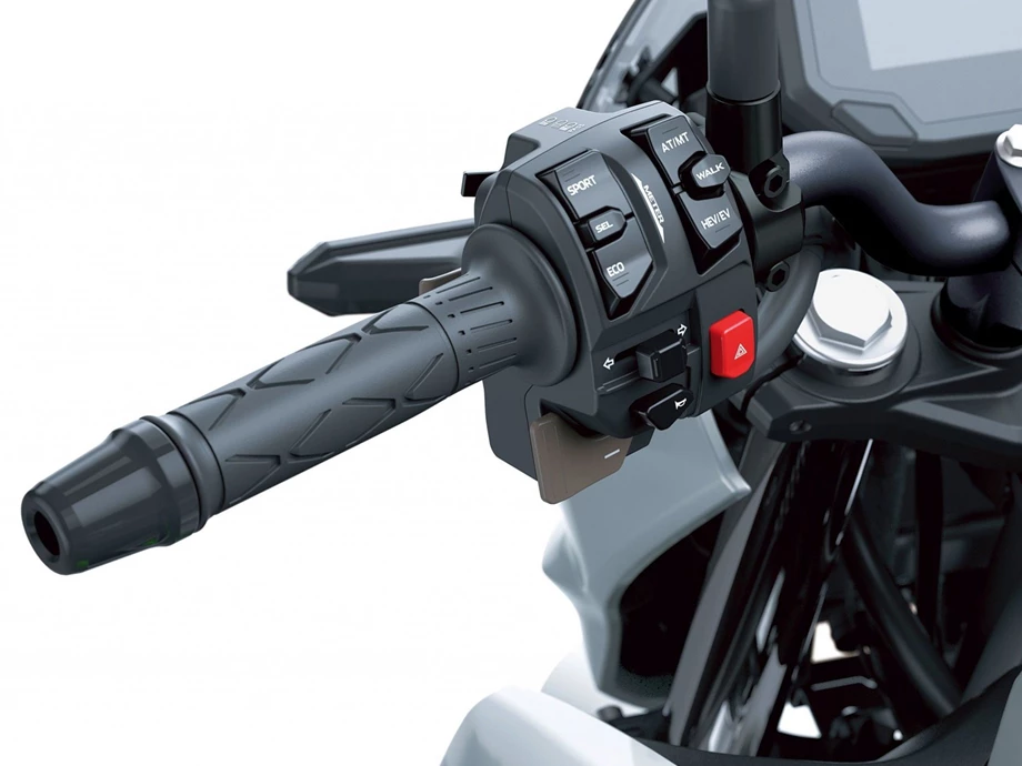 Angebot Kawasaki Z7 Hybrid Bild 6: Angebot Kawasaki Z7 Hybrid