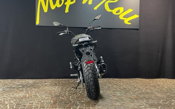 Gebrauchtmotorrad Benelli Leoncino 800 - Bild 2