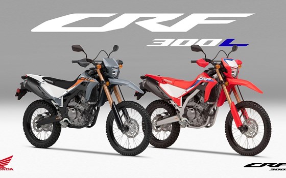 Neufahrzeug Honda CRF300L - Bild 3 Neufahrzeug Honda CRF300L - Bild 3