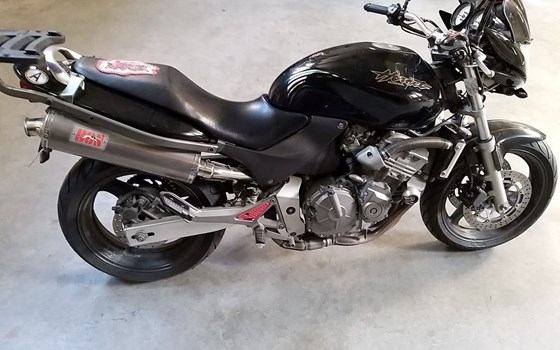 Gebrauchtmotorrad Honda CB 600 F Hornet - Bild 4 Gebrauchtmotorrad Honda CB 600 F Hornet - Bild 4