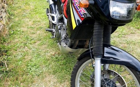 Gebrauchtmotorrad Kawasaki KL 500 - Bild 4