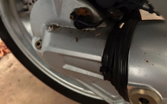 Gebrauchtmotorrad BMW R 1150 R - Bild 11