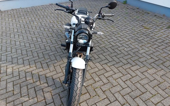 Gebrauchtmotorrad Kawasaki Eliminator 500 - Bild 3