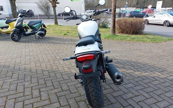 Gebrauchtmotorrad Kawasaki Eliminator 500 - Bild 8