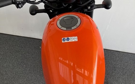 Neufahrzeug Honda CMX500 Rebel S - Bild 14 Neufahrzeug Honda CMX500 Rebel S - Bild 14