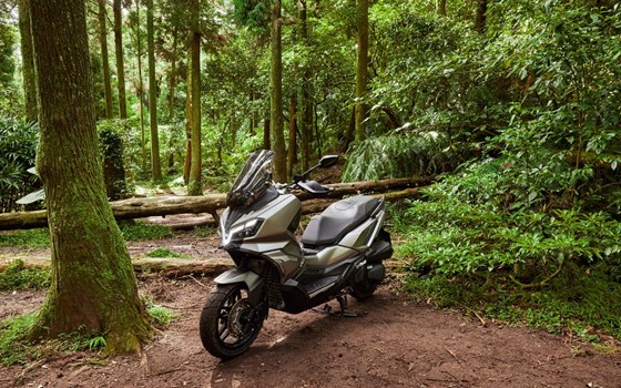 Neufahrzeug Sym ADX 300 - Bild 14