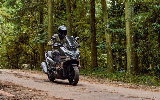 Neufahrzeug Sym ADX 300 - Bild 15