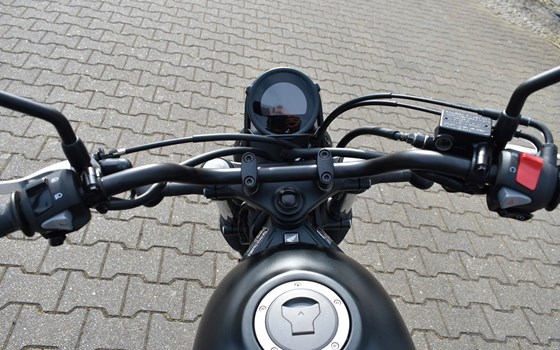 Neufahrzeug Honda CL500 - Bild 7