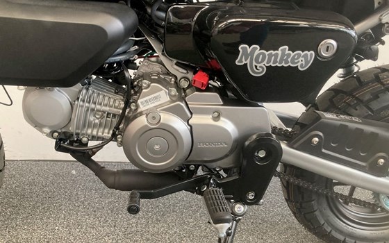 Neufahrzeug Honda Monkey 125 - Bild 5 Neufahrzeug Honda Monkey 125 - Bild 5