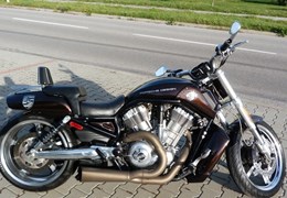 Gebrauchte Harley-Davidson V-Rod Night Rod VRSCD