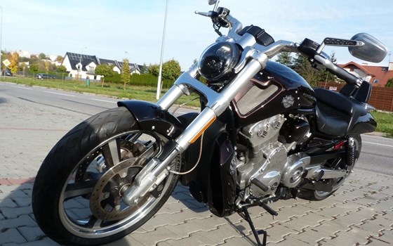 Gebrauchtmotorrad Harley-Davidson V-Rod Night Rod VRSCD - Bild 5