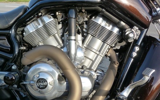 Gebrauchtmotorrad Harley-Davidson V-Rod Night Rod VRSCD - Bild 6