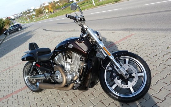Gebrauchtmotorrad Harley-Davidson V-Rod Night Rod VRSCD - Bild 7