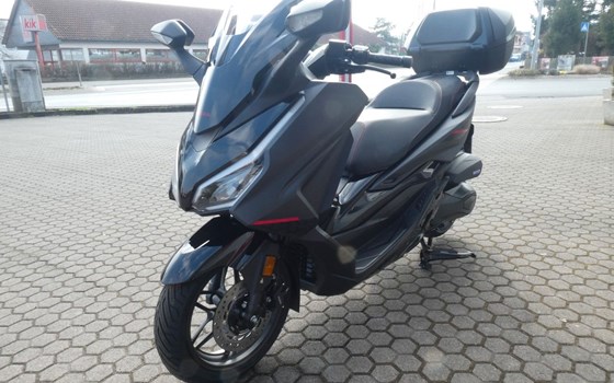 Neufahrzeug Honda Forza 350 - Bild 5