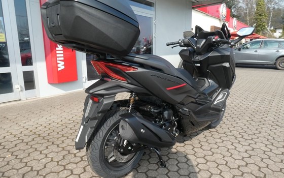 Neufahrzeug Honda Forza 350 - Bild 7