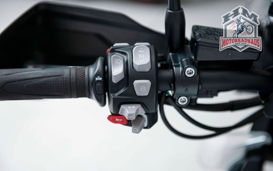 Gebrauchtmotorrad Triumph Tiger 1200 Alpine Edition - Bild 6