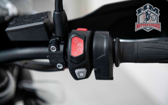 Gebrauchtmotorrad Triumph Tiger 1200 Alpine Edition - Bild 7