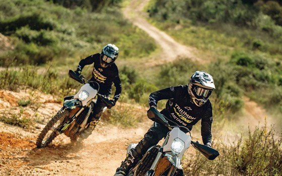 Gebrauchtmotorrad Aermacchi 350 TV - Bild 6