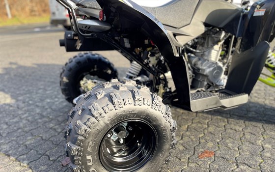 Neufahrzeug Aeon Cobra 424 SX Enduro - Bild 7