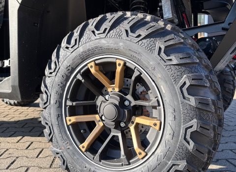 Gebrauchtmotorrad TGB Landmax 1000 ABS - Bild 17