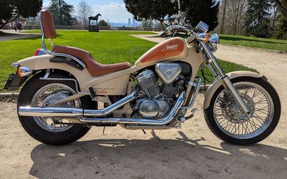 Motorrad Occasion Honda VT 600 C Shadow - Bild 1