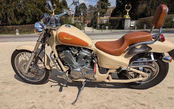 Motorrad Occasion Honda VT 600 C Shadow - Bild 4