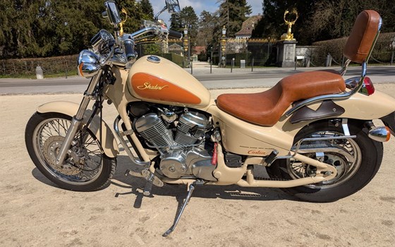 Motorrad Occasion Honda VT 600 C Shadow - Bild 4