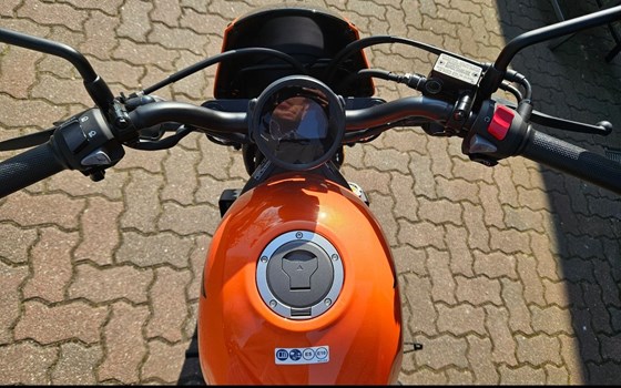 Gebrauchtmotorrad Honda CMX500 Rebel - Bild 7