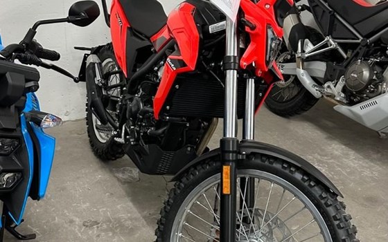 Neufahrzeug Beta Alp 4.0 - Bild 2