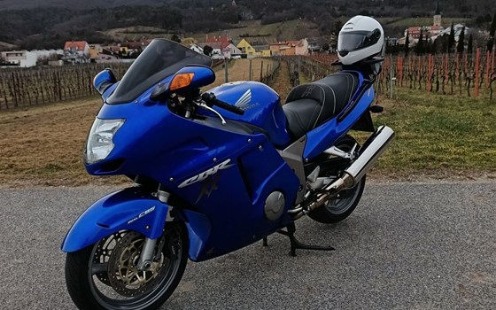 Gebrauchtmotorrad Honda CBR 1100 XX Super Blackbird - Bild 1 Gebrauchtmotorrad Honda CBR 1100 XX Super Blackbird - Bild 1