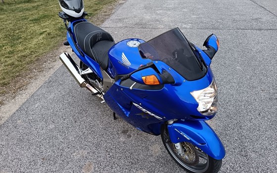 Gebrauchtmotorrad Honda CBR 1100 XX Super Blackbird - Bild 1