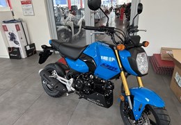 Neumotorrad Honda MSX125 Grom