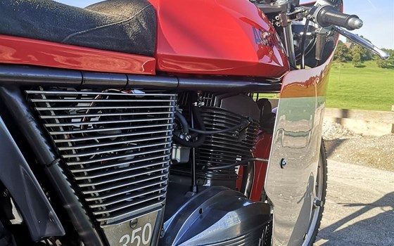 Motorrad Occasion MV Agusta 350 Ipotesi - Bild 12