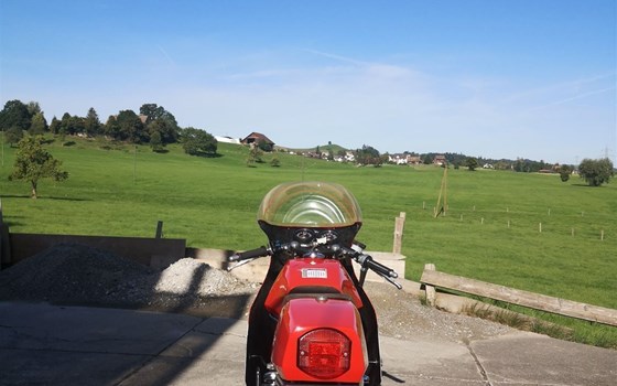 Motorrad Occasion MV Agusta 350 Ipotesi - Bild 18