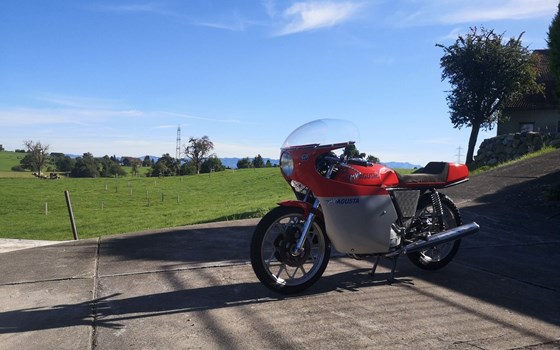 Motorrad Occasion MV Agusta 350 Ipotesi - Bild 4