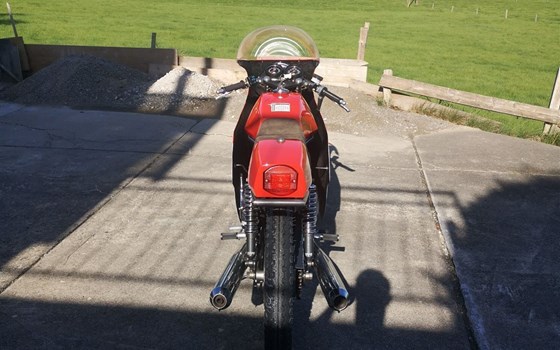 Motorrad Occasion MV Agusta 350 Ipotesi - Bild 5